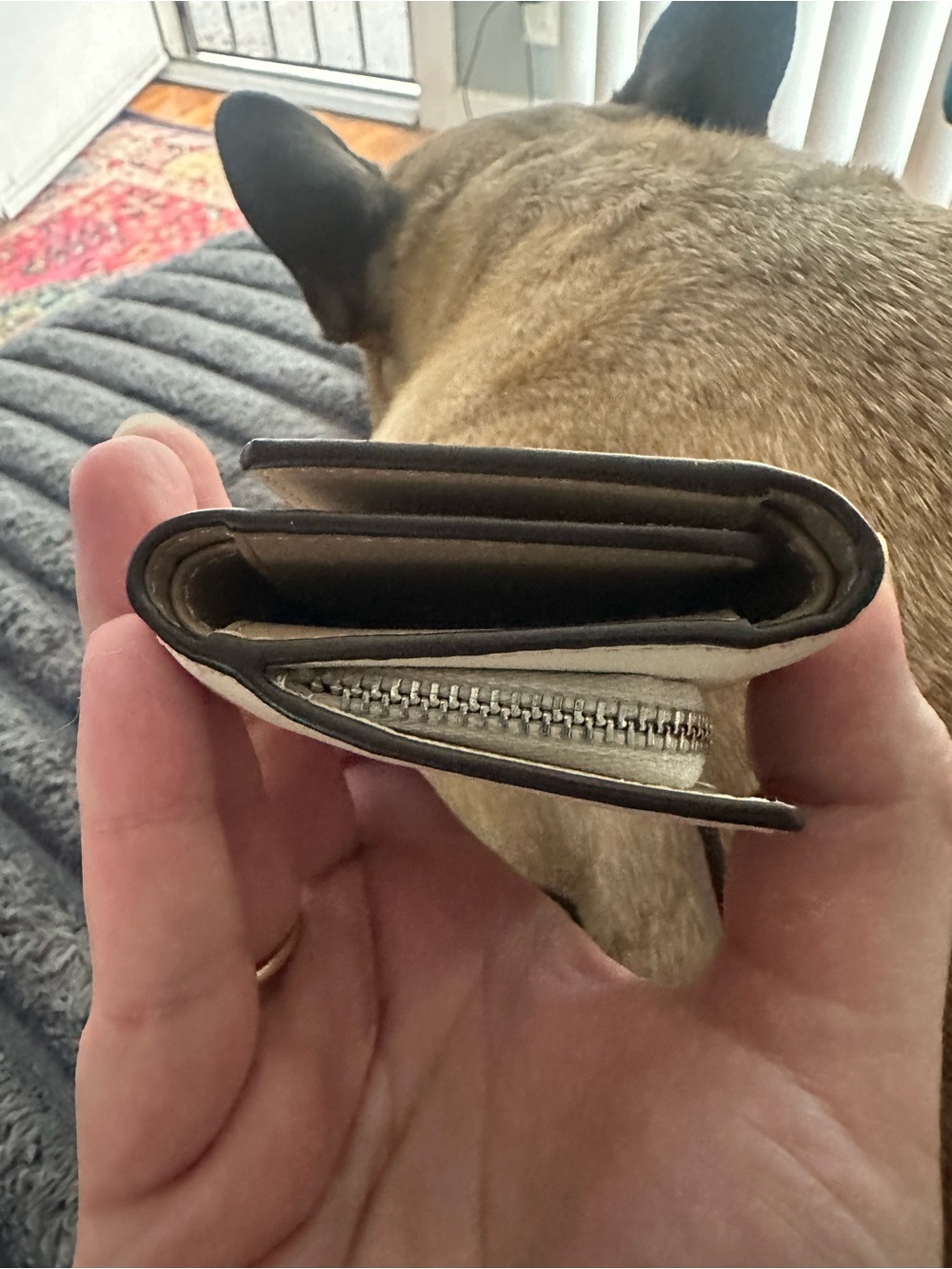 Coach Andrea Carryall Bag AND wallet - Picture 13 of 13